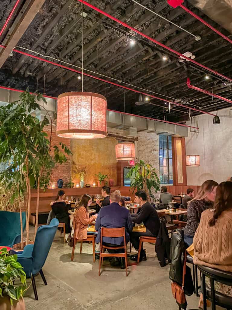 nura greenpoint indian inspired new american