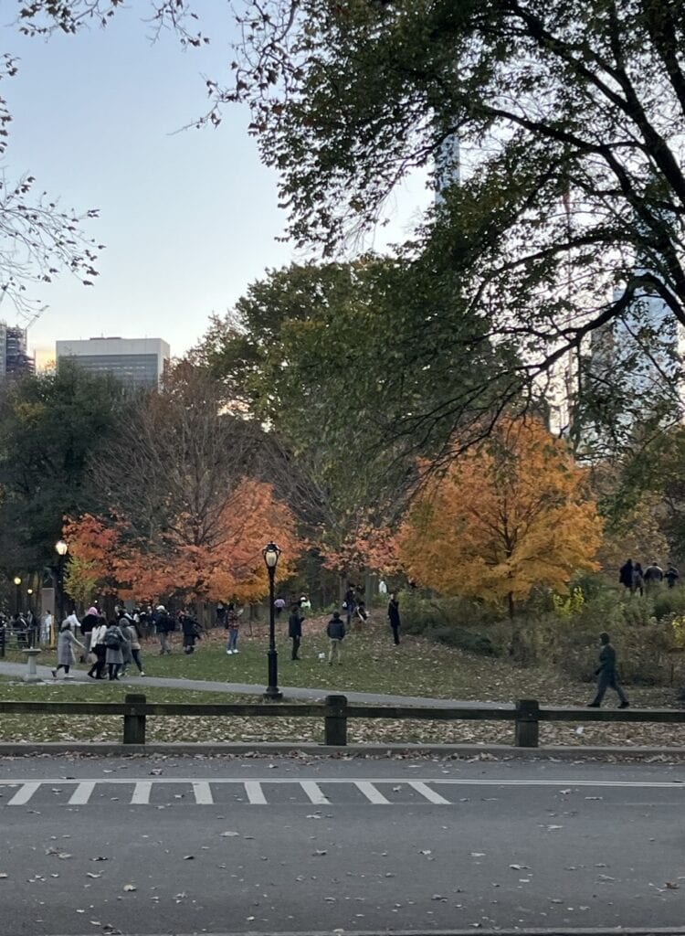 tompkins square park