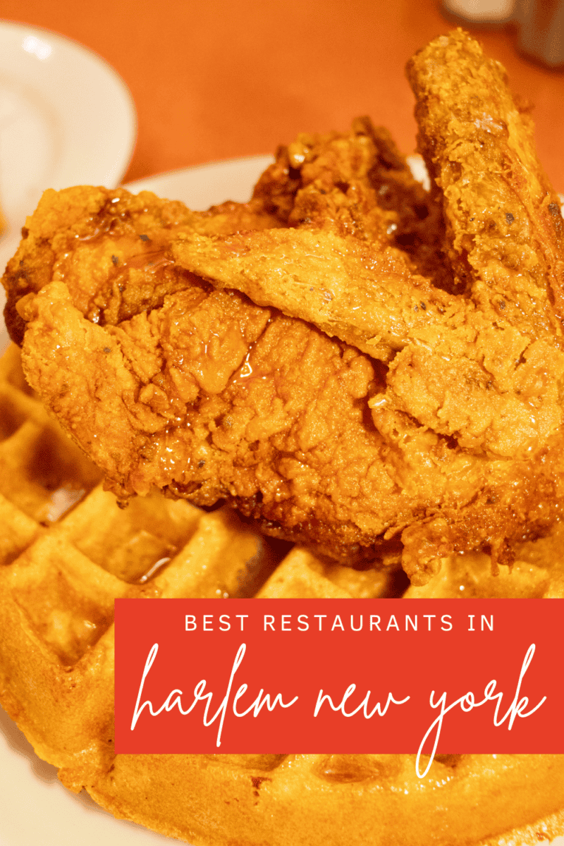 Restaurants In Harlem 9 Must Try Spots With Flavor And Soul Your restaurants-in-harlem-9-must-try-spots-with-flavor-and-soul-your