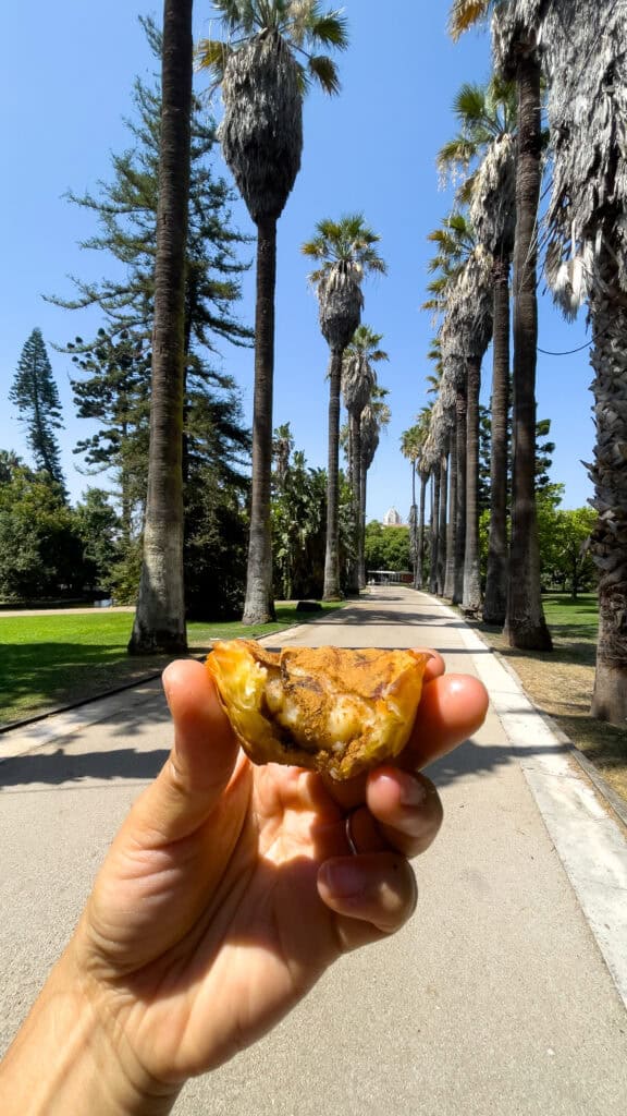 Pastéis de Belém at Tropical Botanical Garden