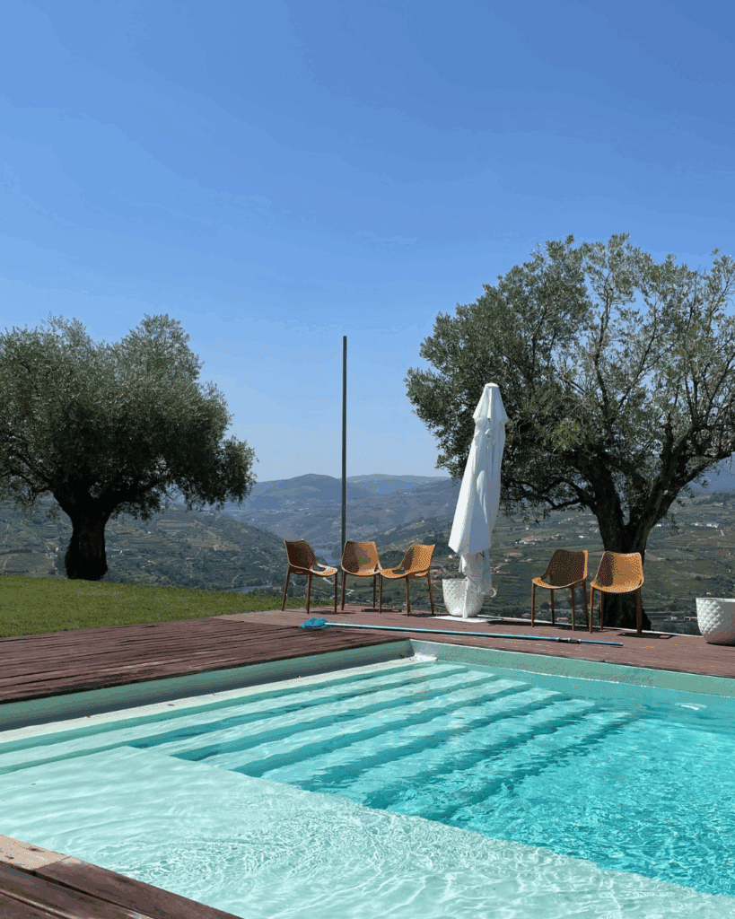 pool porto wine tour douro valley